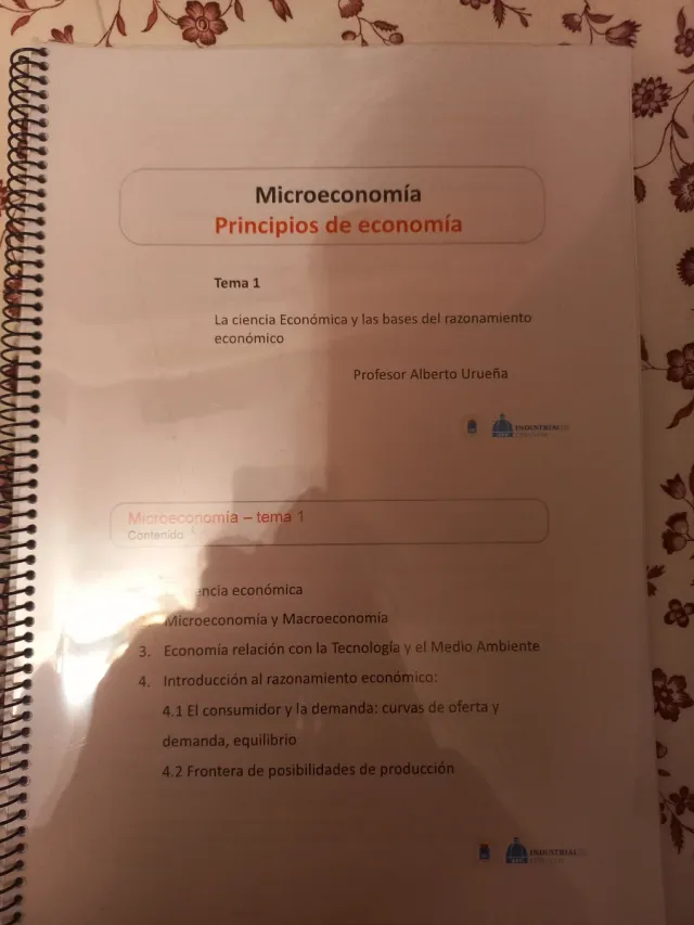 Lote de puntes Industriales