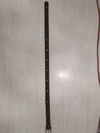 Cintura in ecopelle marrone con fibbia argento