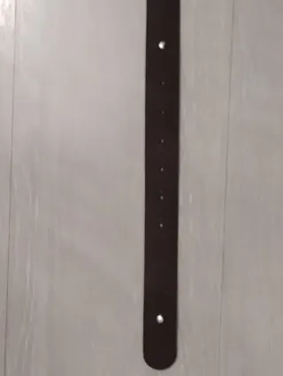 Cintura in ecopelle marrone con fibbia argento