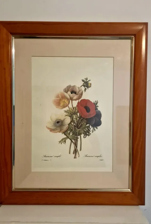 Set de 4 Cuadros Florales Anémonas y Pensamientos