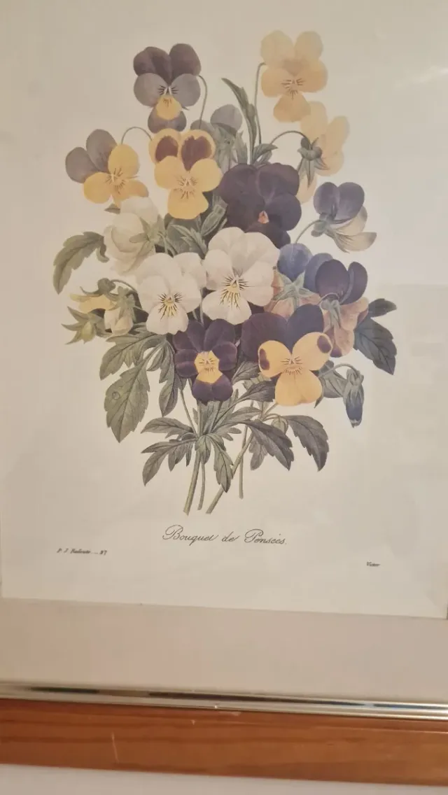 Set de 4 Cuadros Florales Anémonas y Pensamientos