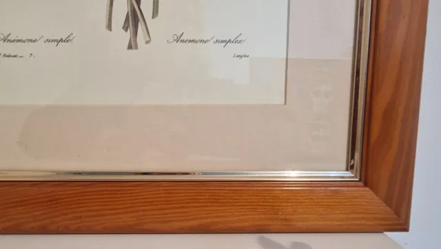 Set de 4 Cuadros Florales Anémonas y Pensamientos