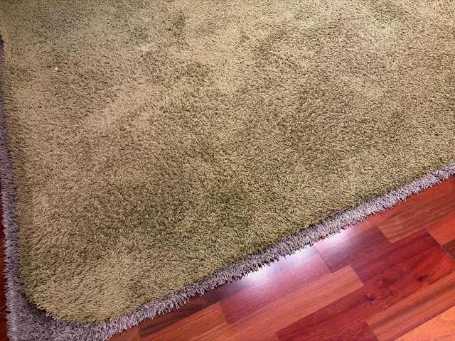 Alfombra verde habitación/salón