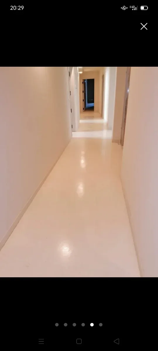 Servicios de Pintura y Alisado de Paredes