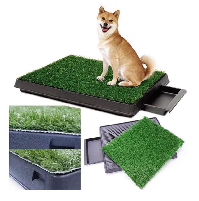 Gabinetto per animali domestici con erba artificiale