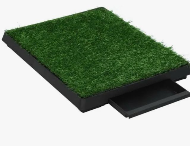 Gabinetto per animali domestici con erba artificiale