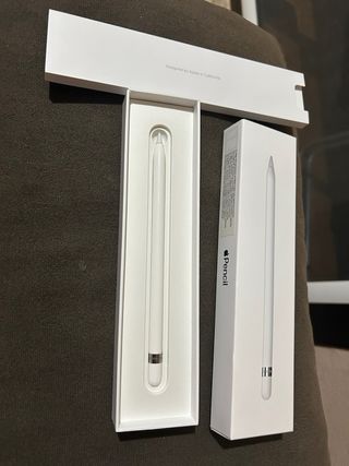 Apple Pencil para iPad 10ª Gen