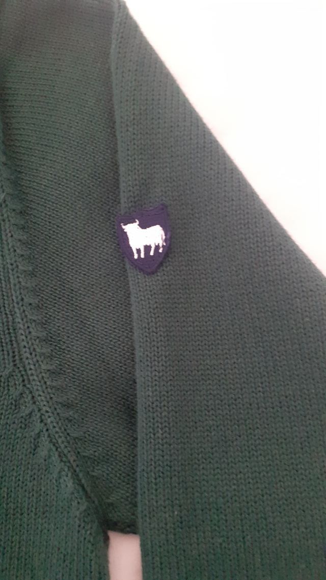 Jersey El Toro Verde