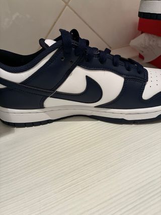 Nike Dunk Low Retro Azul y Blanco