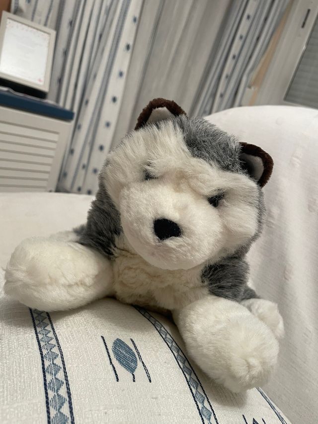 Peluche Husky Siberiano Suave