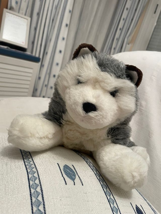 Peluche Husky Siberiano Suave