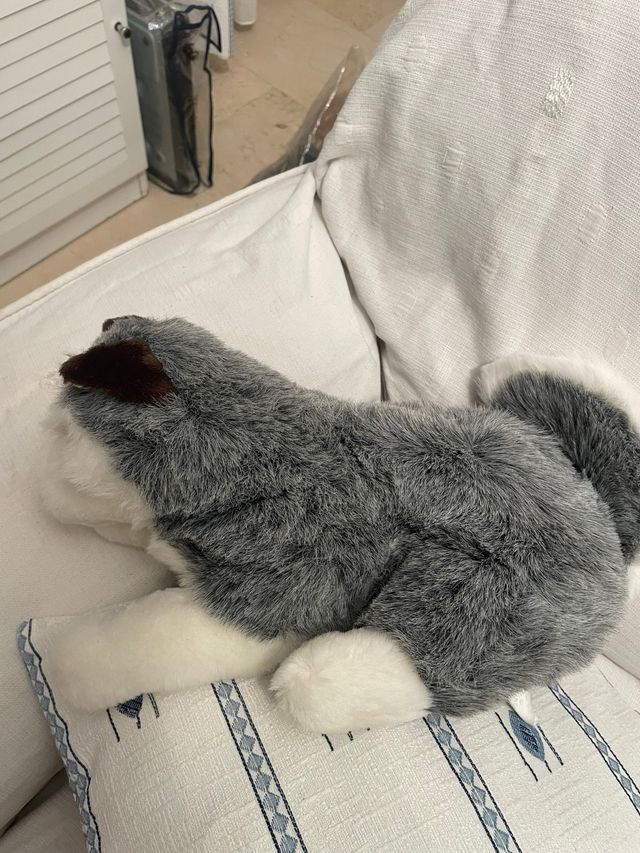 Peluche Husky Siberiano Suave