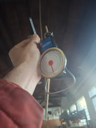 Báscula de maletas Voyager dorada