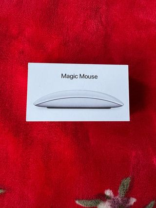 Apple Magic Mouse (USB-C)