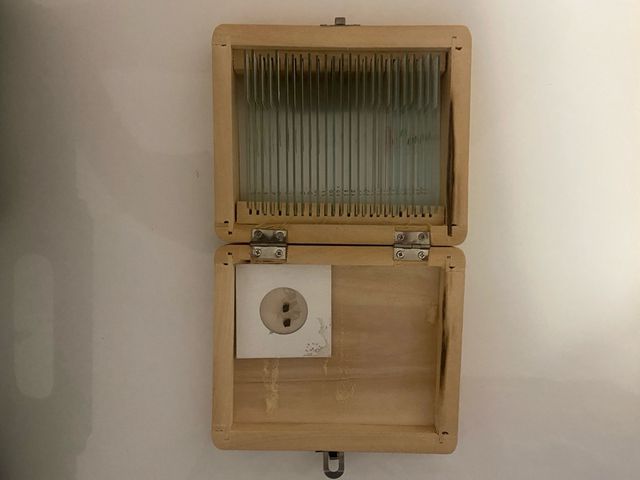 Microscopio Bresser Biolux NV 20x-1280x.