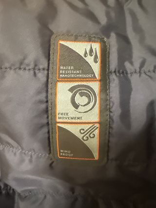 Americana Cornelliani Azul