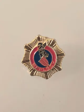 Pin Policía Local Valenciana