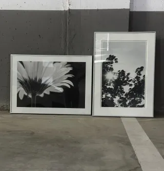 Quadri Decorativi Moderni