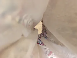 Falda Mango Estampada Talla M