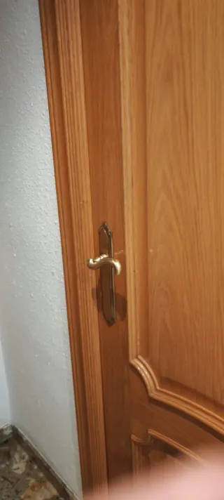 Puerta interior de madera