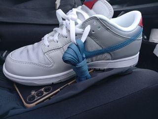 Zapatillas Nike Dunk SB