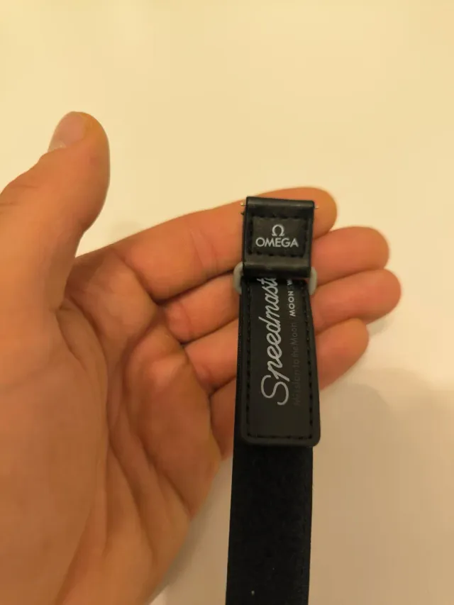 Omega Moonswatch Moon