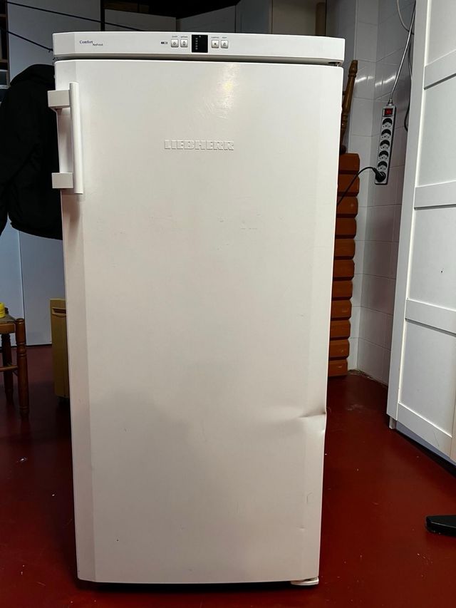 Congelador vertical LIEBHERR