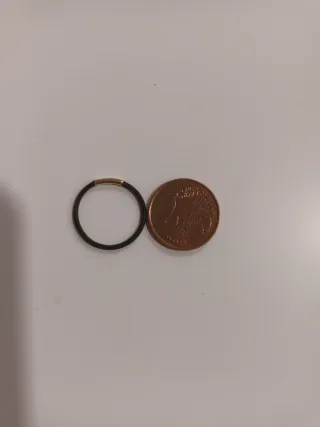 Anillo oro y pelo de elefante