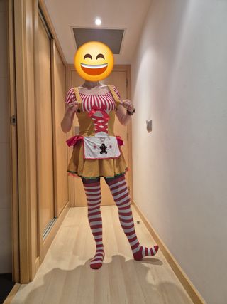 Disfraz Galleta Jengibre Navidad Carnavales