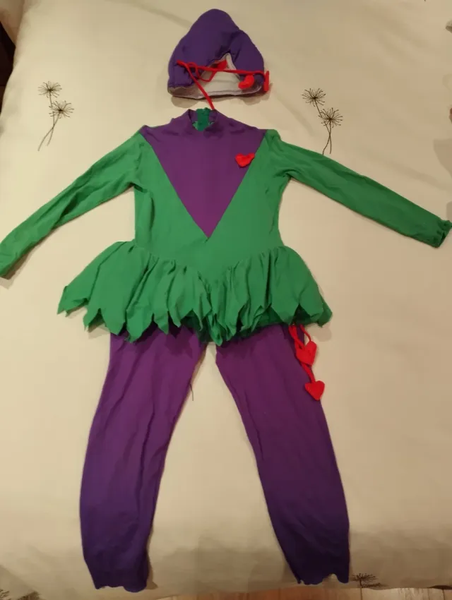 Disfraz Corazón del Bosque Talla 10 años.