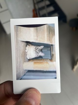 Fujifilm Instax Mini 11 Nera+ 10 foto