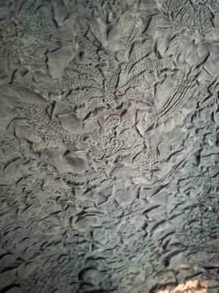 Camisa Adolfo Dominguez Verde Talla 38