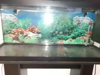 Acuario Grande+Mueble+termostato+filtro Pro....