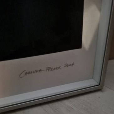 Obra gráfica Carolina Ferrer