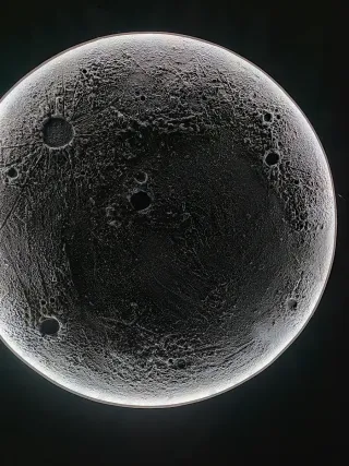 Diseño y decoración