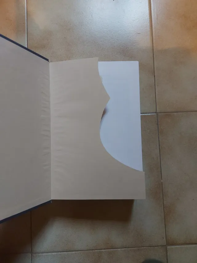 Economía y sociedad