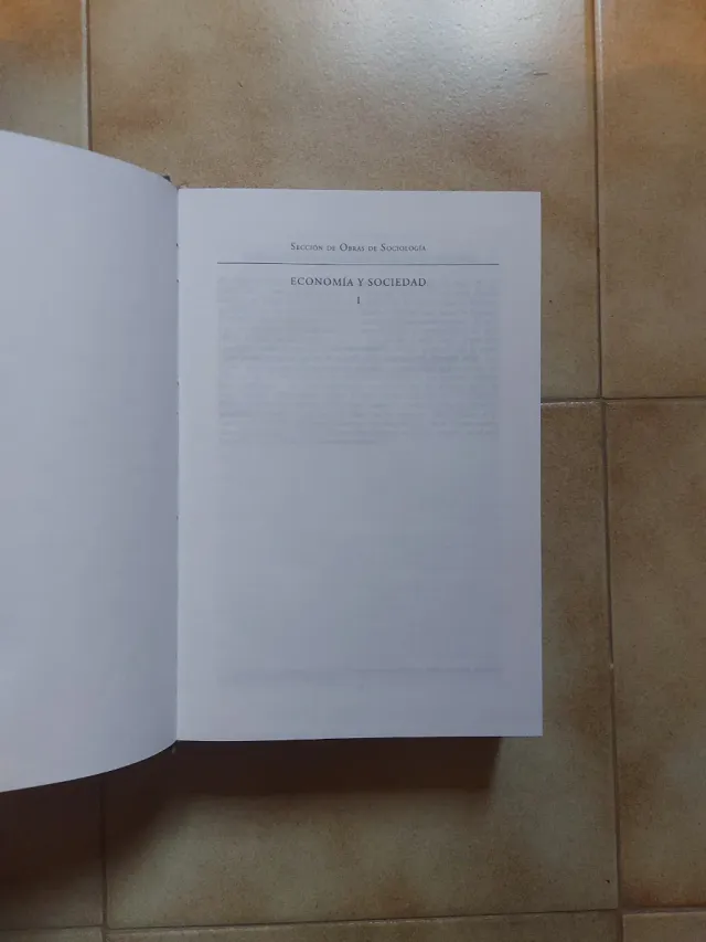 Economía y sociedad