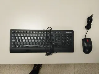 Teclado y Ratón Lenovo Negro
