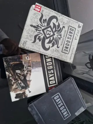 Days Gone Edición Especial PS4,