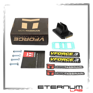VForce 3 V351B-S Motori Minarelli AM6 by Tassinari