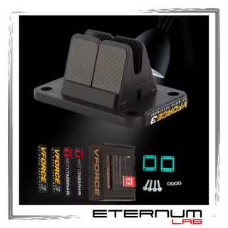 VForce 3 V351B-S Motori Minarelli AM6 by Tassinari