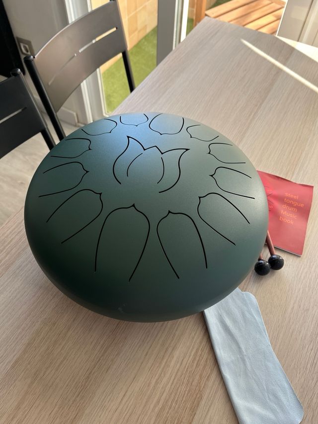 Tambor de Lengua de Acero Verde