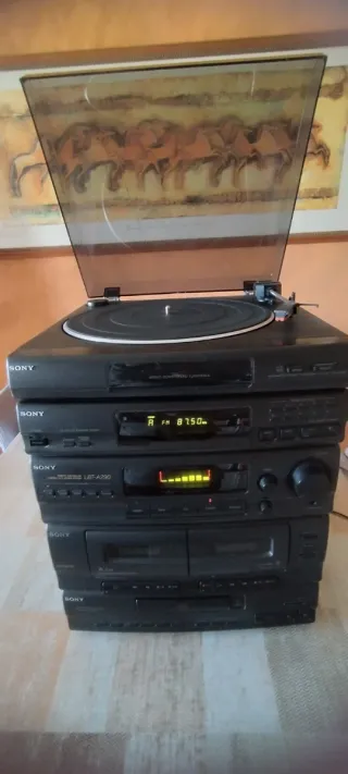 Cadena Sony PS-LX56P