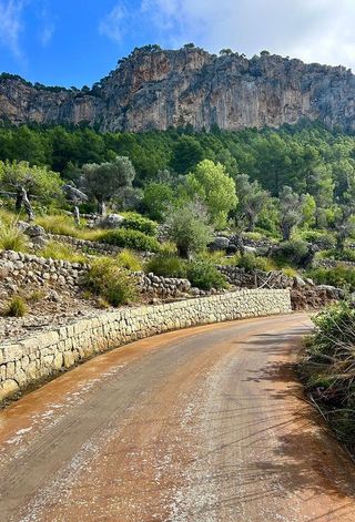 Casa adosada en alquiler en Alaró