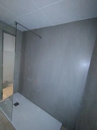 Pladurista y reformas