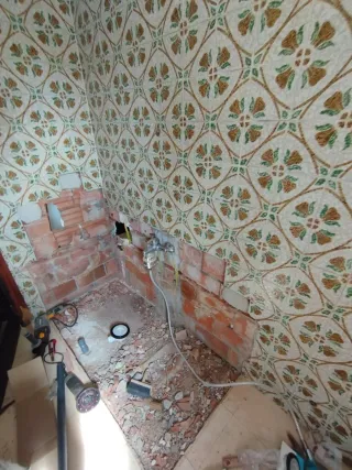 Pladurista y reformas