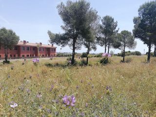 Terreno en venta en Berà Mar - El Francaset en Roda de Barà