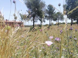 Terreno en venta en Berà Mar - El Francaset en Roda de Barà