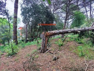 Terreno en venta en La Floresta - Les Planes en Sant Cugat del Vallès