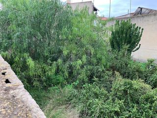 Terreno en venta en Orihuela ciudad en Orihuela